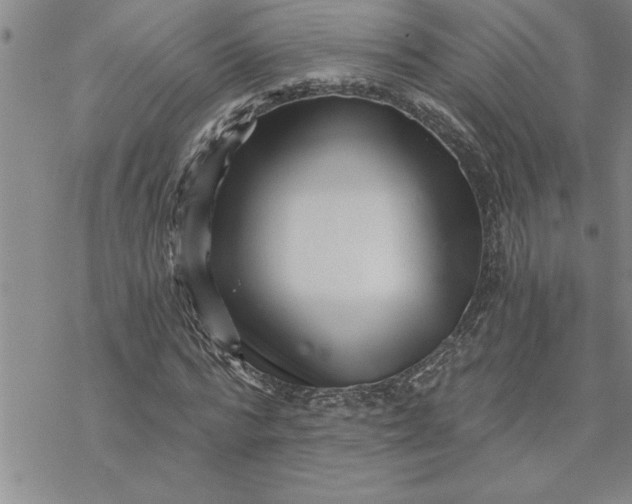 X0000069830776200606021335