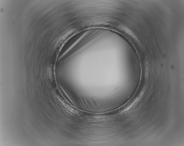 X0000069830777200606021335