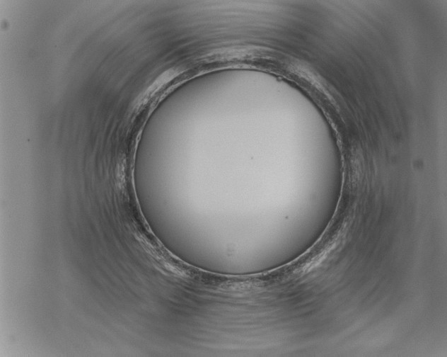 X0000069830778200606021335