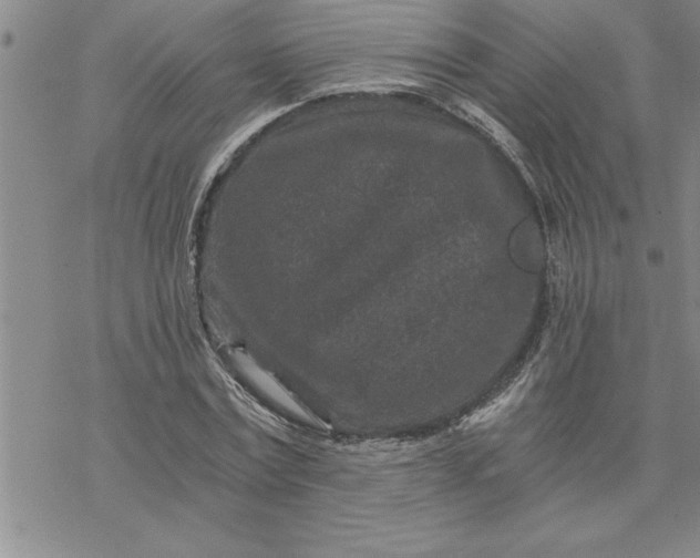 X0000069830779200606021335