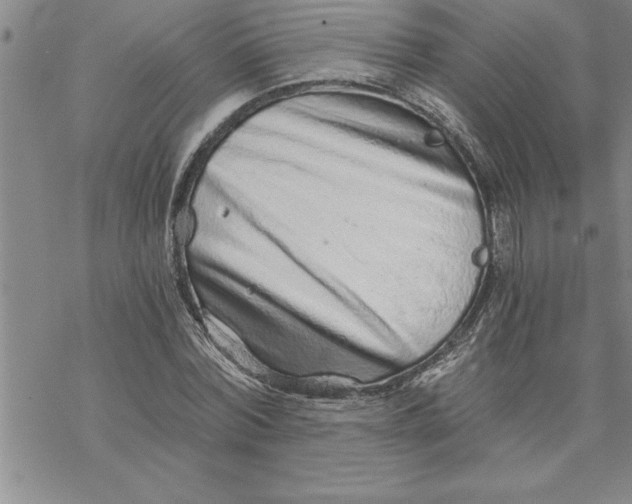 X0000069830780200606021335