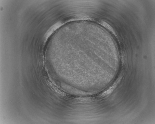 X0000069830781200606021335