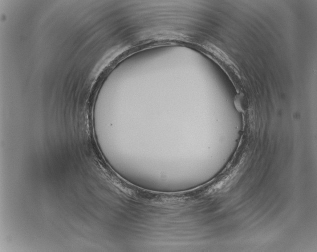 X0000069830782200606021335