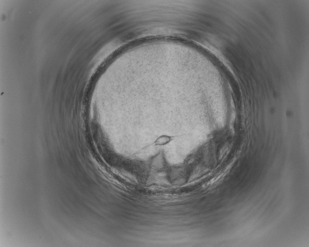 X0000069830783200606021335