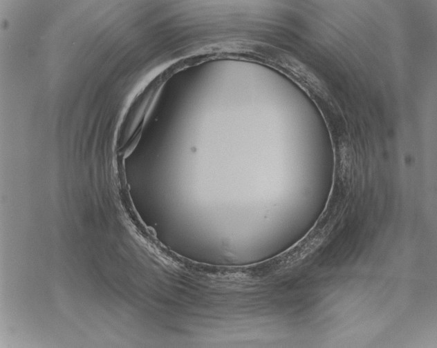 X0000069830784200606021335