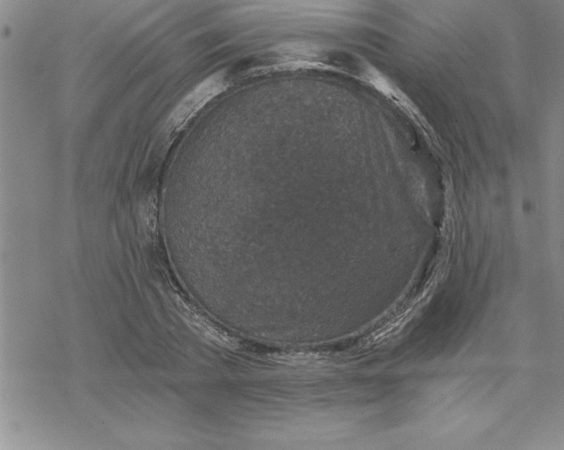 X0000069830785200606021335