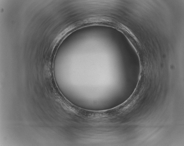 X0000069830786200606021335