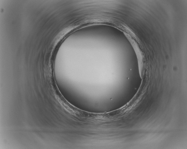 X0000069830787200606021335