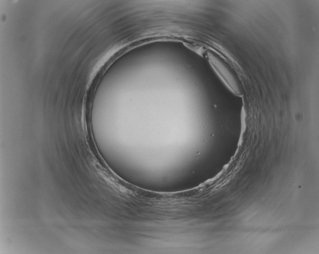 X0000069830788200606021335