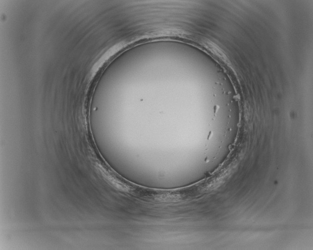 X0000069830789200606021335