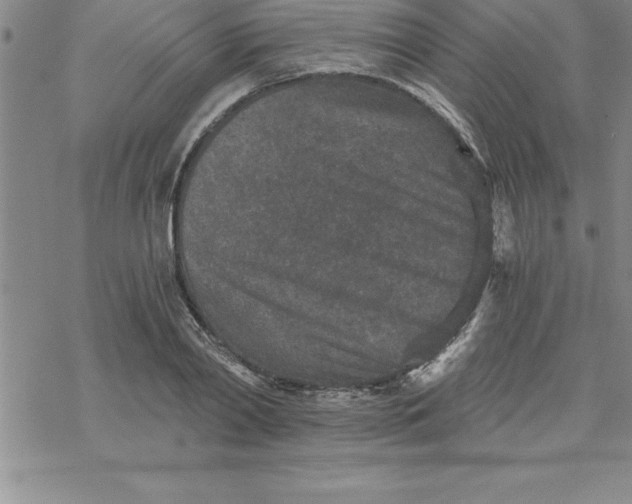 X0000069830790200606021335