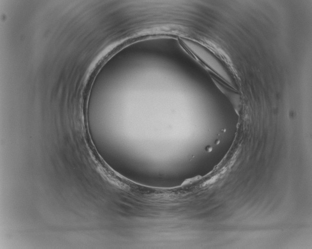 X0000069830792200606021335