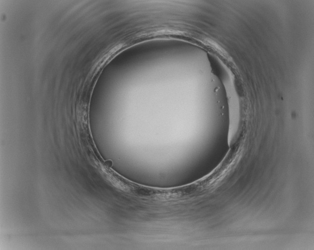 X0000069830793200606021335