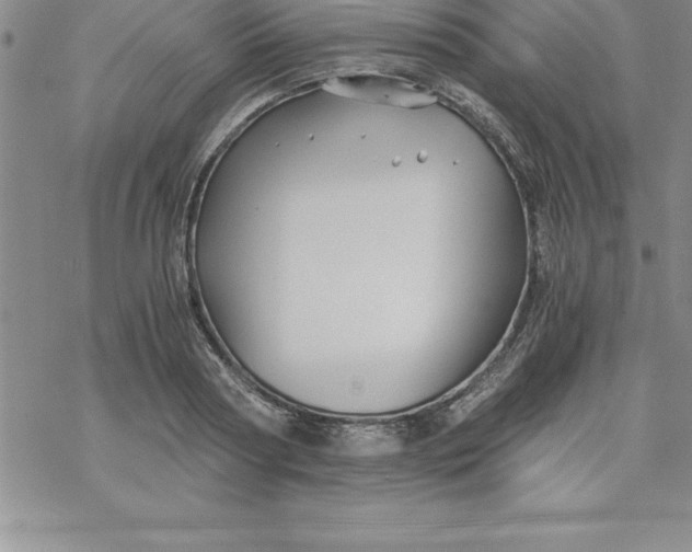 X0000069830794200606021335