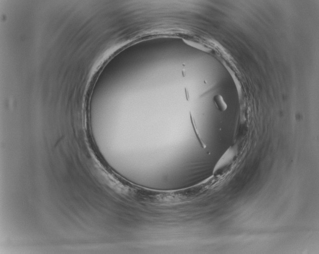 X0000069830795200606021335