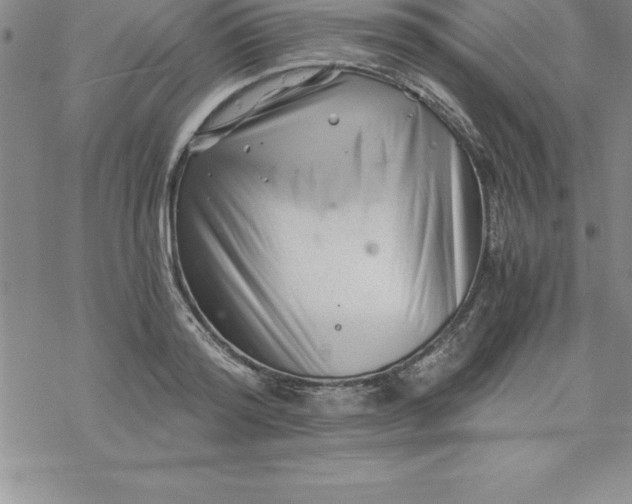 X0000069830796200606021335