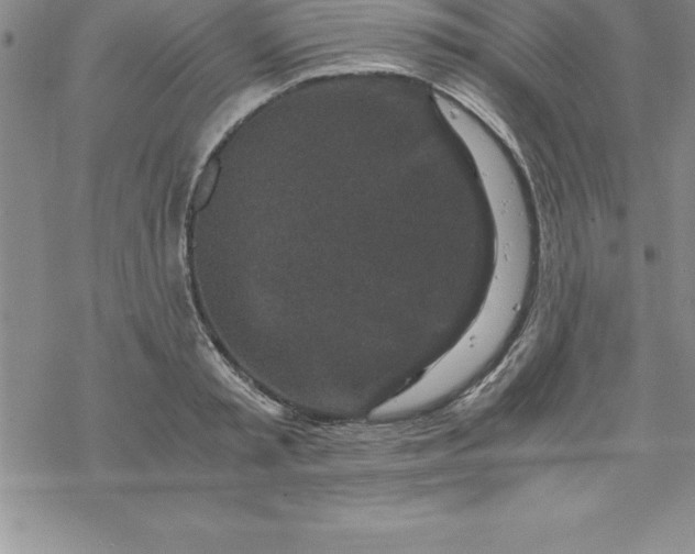 X0000069830797200606021335