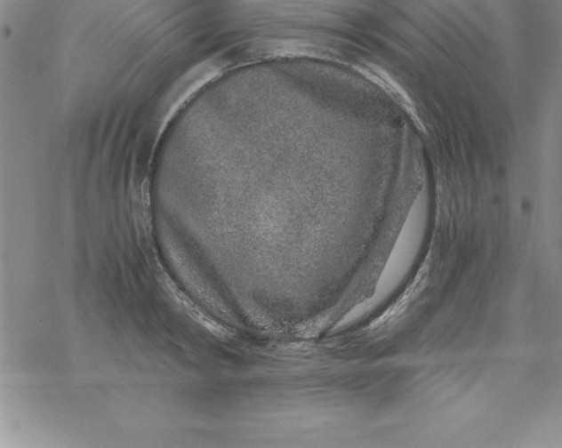 X0000069830798200606021335