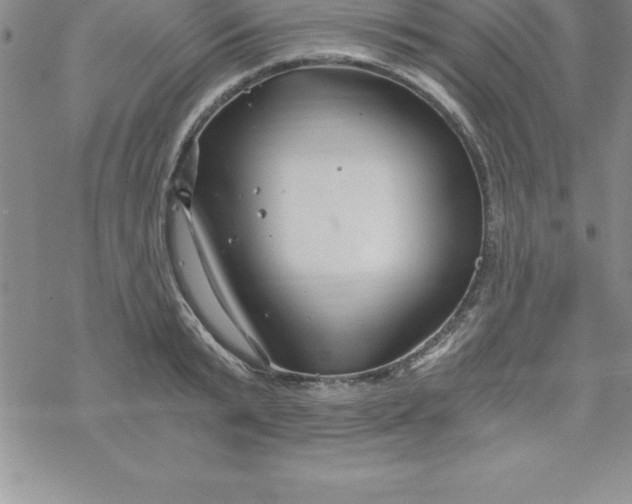 X0000069830799200606021335