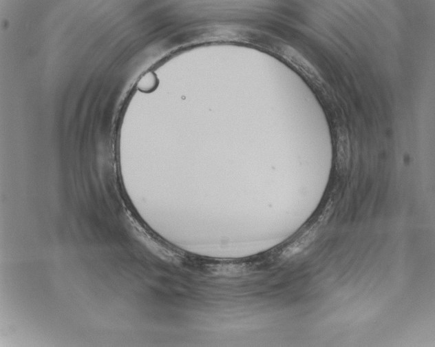 X0000069830800200606021335