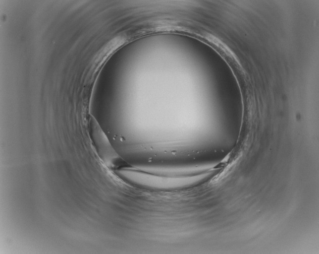 X0000069830801200606021335