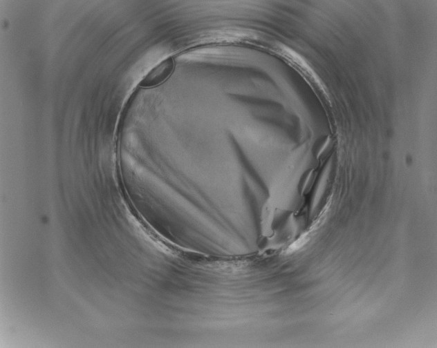 X0000069830802200606021335