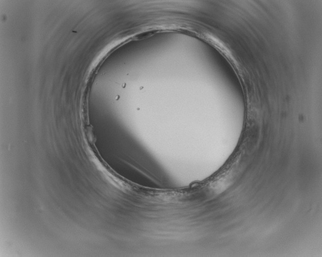 X0000069830803200606021335