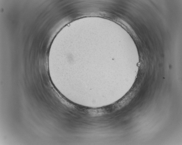 X0000069830804200606021335