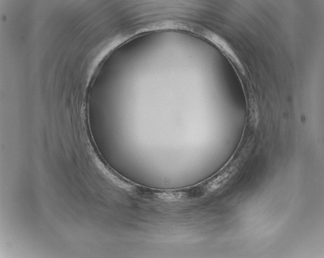 X0000069830805200606021335