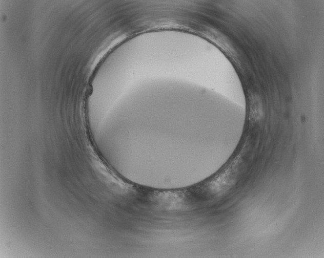 X0000069830806200606021335