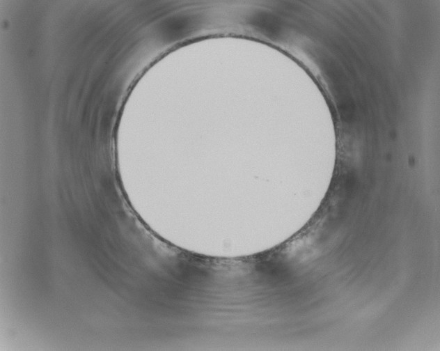 X0000069830807200606021335