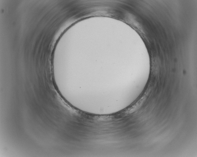 X0000069830808200606021335