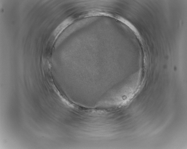 X0000069830809200606021335