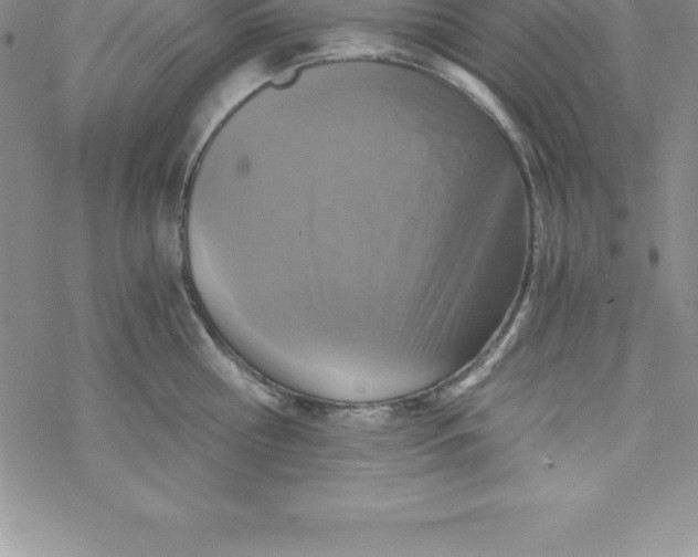 X0000069830810200606021335