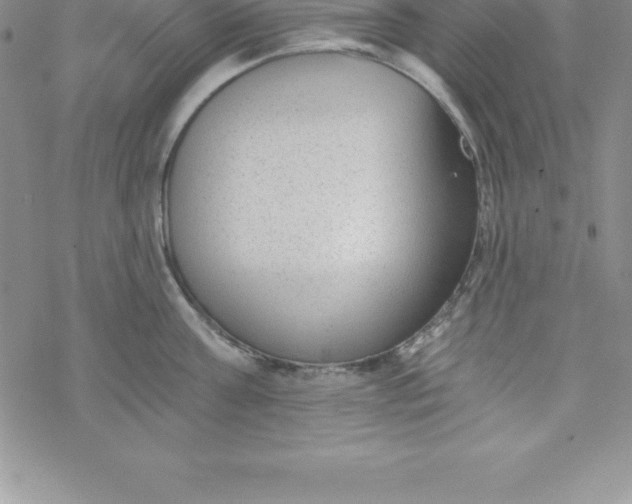 X0000069830811200606021335