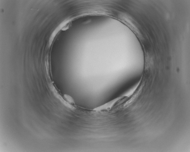 X0000069830812200606021335