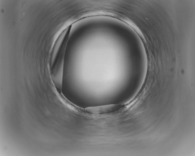 X0000069830813200606021335