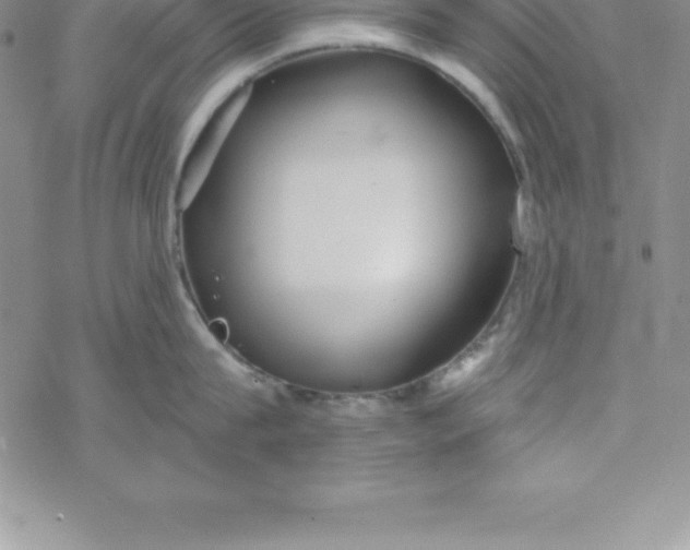 X0000069830815200606021335