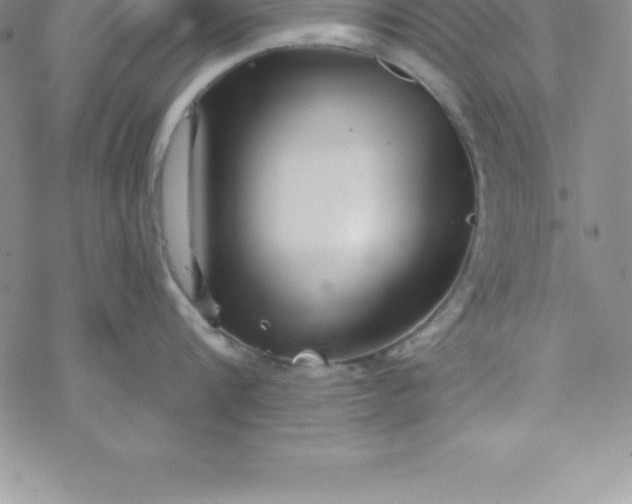 X0000069830816200606021335