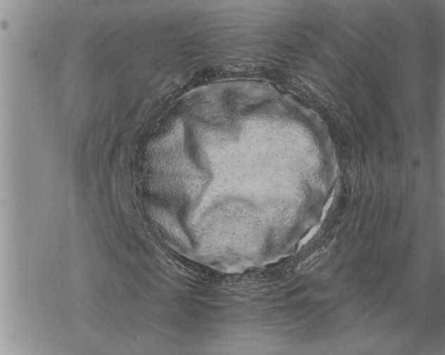 X0000069830817200606021334