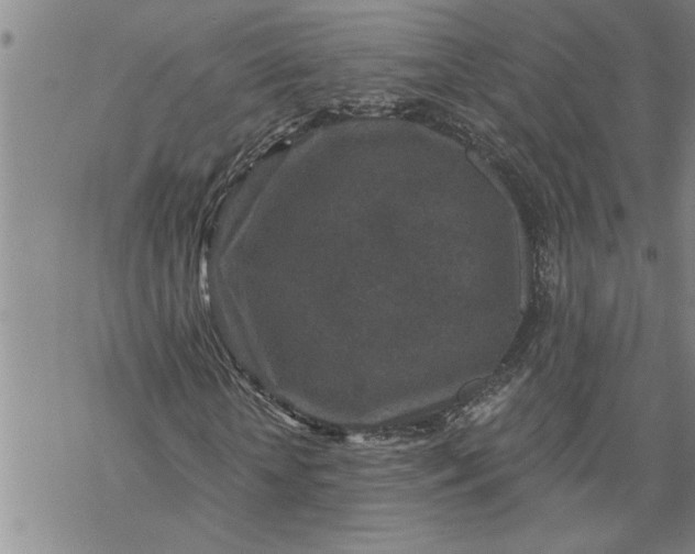 X0000069830818200606021334