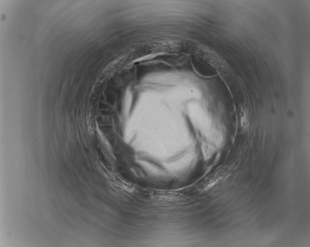 X0000069830819200606021334