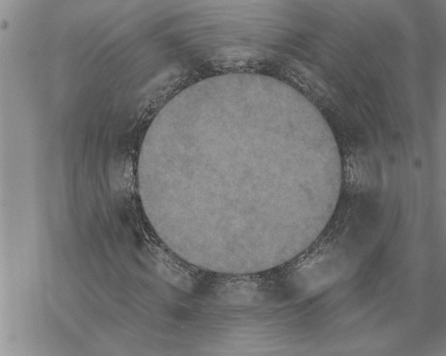 X0000069830820200606021334