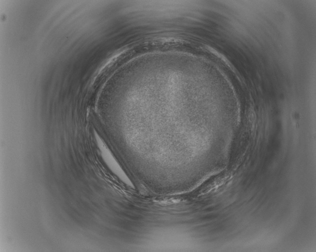 X0000069830823200606021334