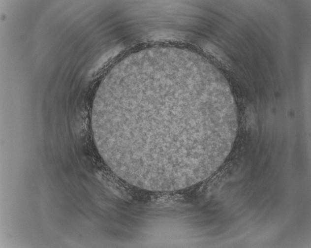 X0000069830824200606021334