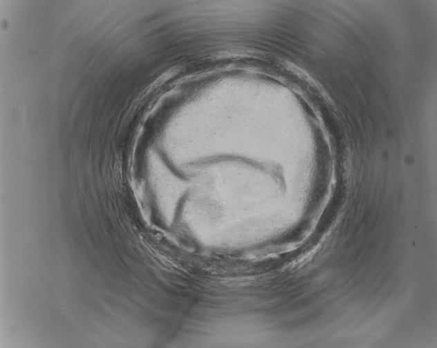 X0000069830825200606021334