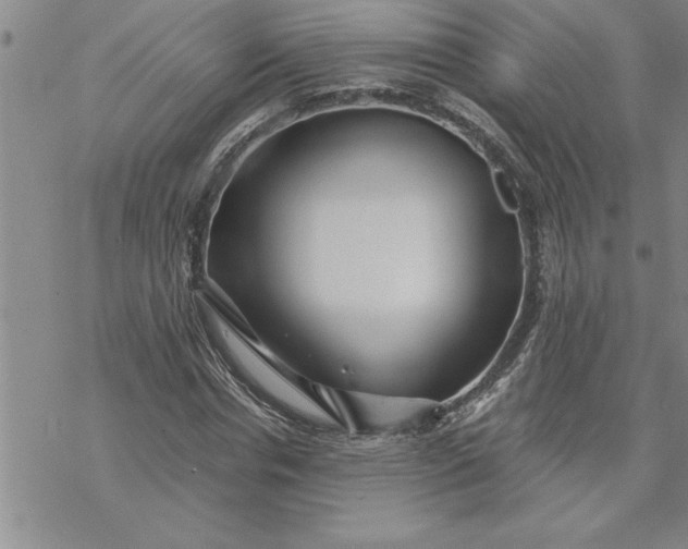 X0000069830826200606021334