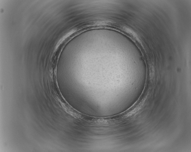 X0000069830827200606021334