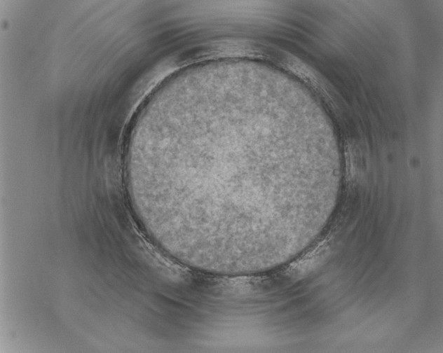 X0000069830828200606021334