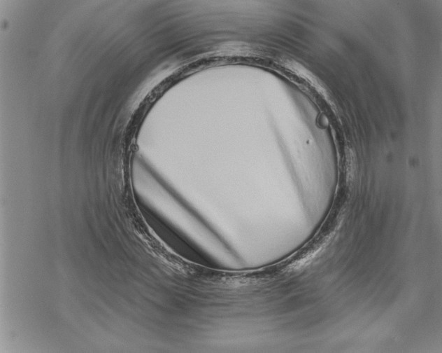 X0000069830829200606021334